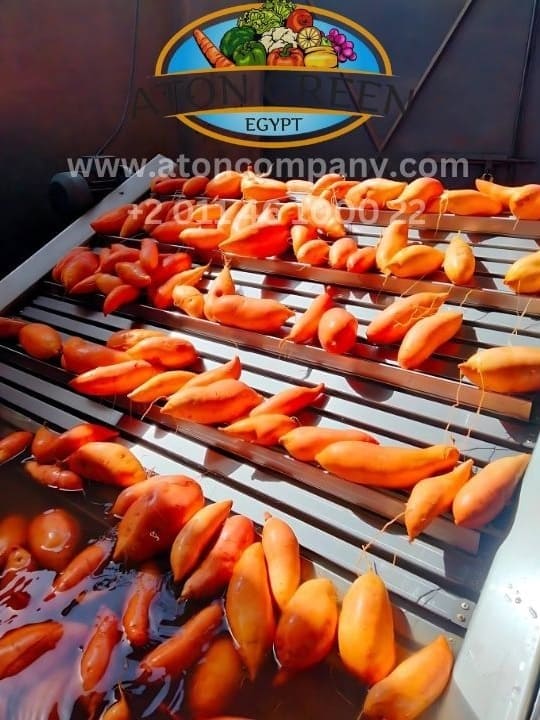 Aton Green Egypt Fresh Fruits & Vegetables